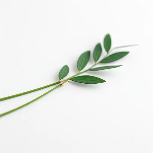 Details einer Hochzeitseinladung